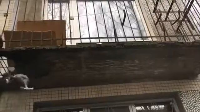 Балконная плита в "хрущевке" смотреть онлайн