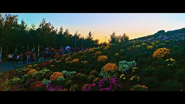 Moments 3   Мобильное видео 10.09.2022 Poco X3 NFC