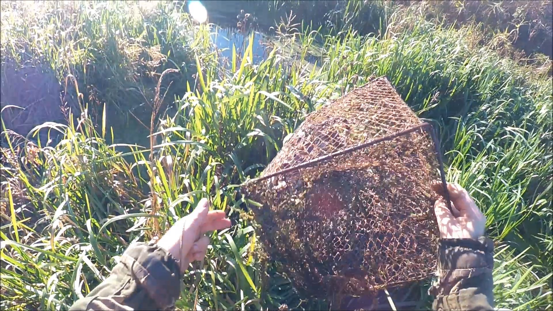 Охота на ондатру. Морды опять поймали (Будни охотника и рыбака) смотреть онлайн