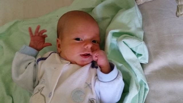 Илюша 1,5 месяца, первые агукания новорожденных смотреть онлайн