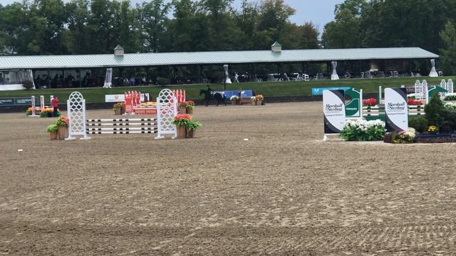 Matcho Hits Childrens Hunter смотреть онлайн