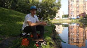 ФИДЕРНАЯ ЛОВЛЯ ДЛЯ НАЧИНАЮЩИХ