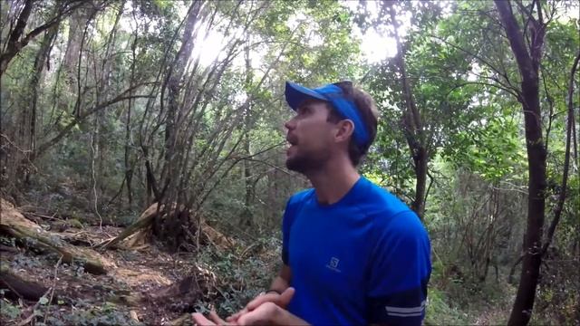 How to call a Narina Trogon: Birding in South Africa смотреть онлайн