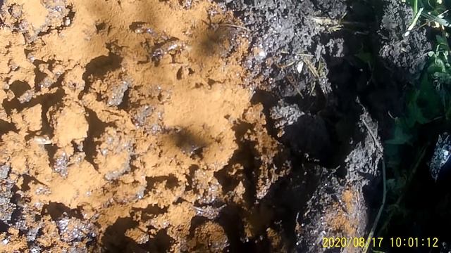 Лучшее средство от СЛИЗНЕЙ достаточно на них посыпать этим и они дохнут. смотреть онлайн