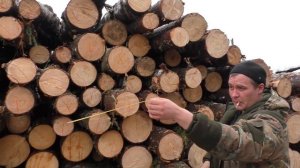 Точковка леса...