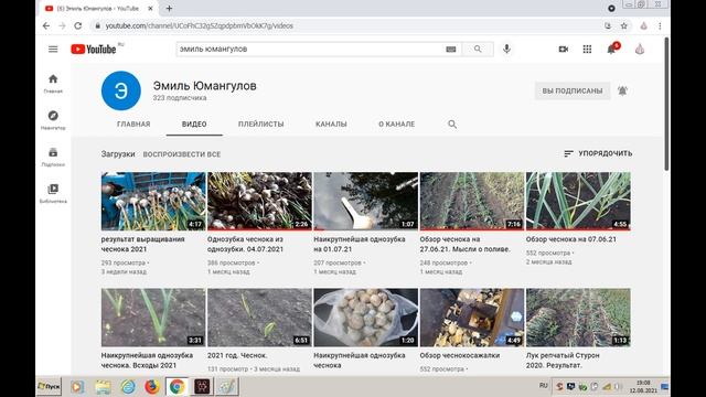 Кот наплакал. Реальная урожайность чеснока сорт Шадейка и Добрыня смотреть онлайн