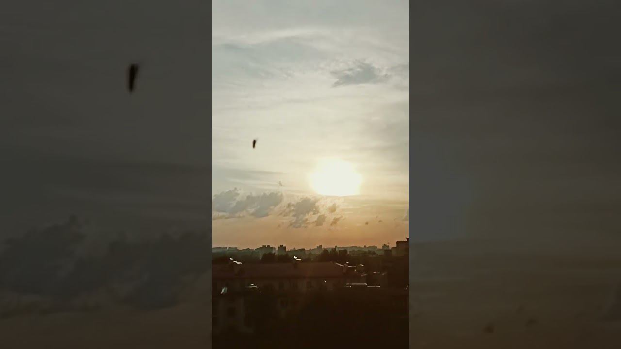 respect 2108241928 #asmr #duck #dog #sunset #travel смотреть онлайн