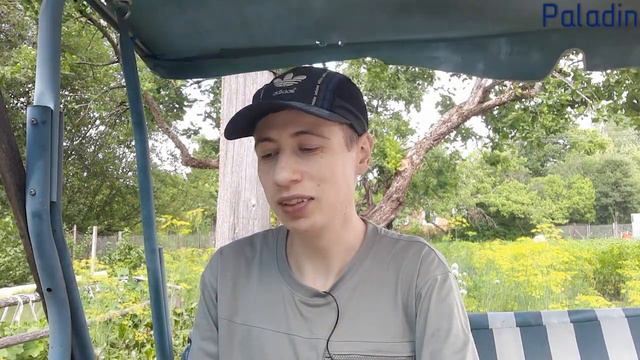 Как люди учат диких дельфинов попрошайничать? смотреть онлайн