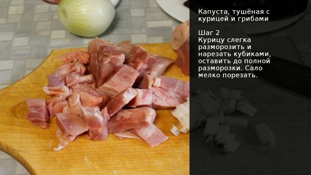 Зоопарк и Дикие Животные