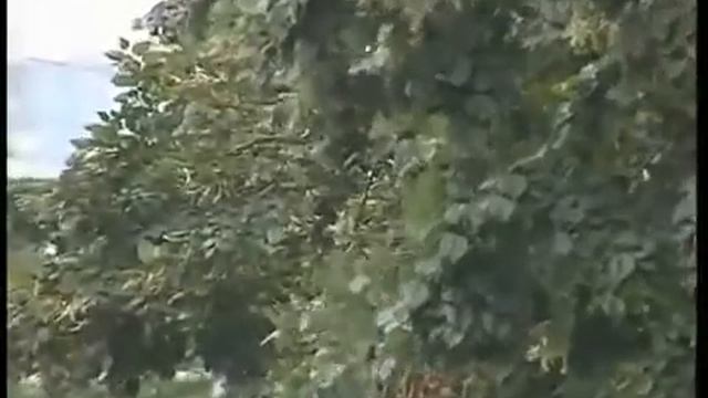 Краснодар на первом месте в рейтинге ста крупнейших городов России смотреть онлайн