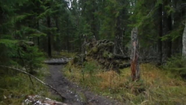 Карельский Лес \ Поход с Ночёвкой смотреть онлайн