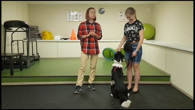 Метод работы "Остановки" смотреть онлайн