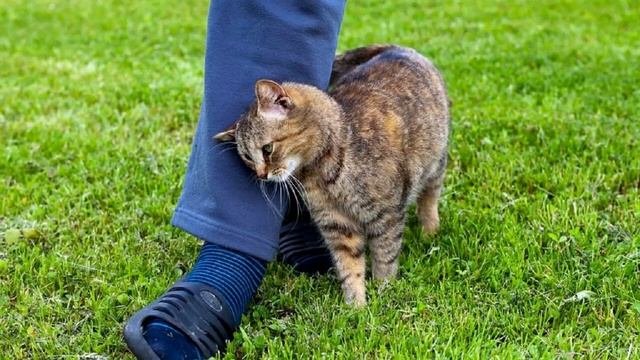 Народные приметы на 8 августа... смотреть онлайн