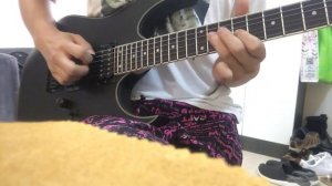 Ibanez RG421EX Matt black (Mod)