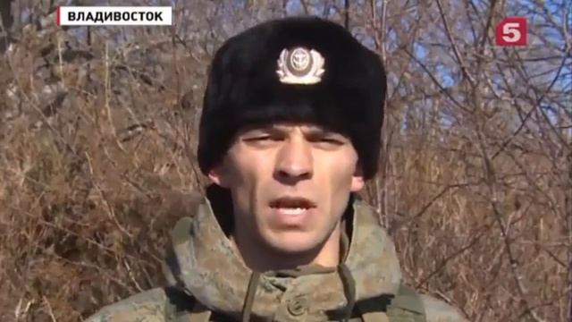 У грозы морей «чёрных беретов» профессиональный праздник В России День морской пехоты смотреть онлайн