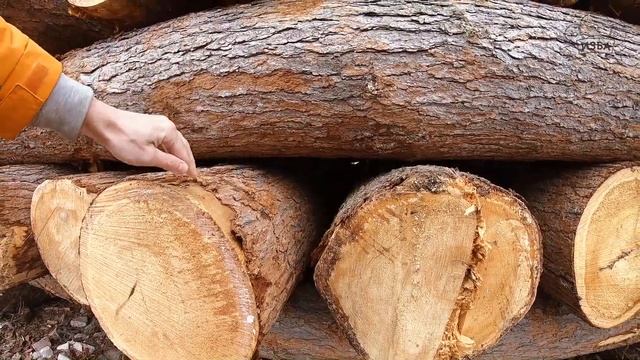 Рубленные дома и бани. Производственная площадка. Часть 4 смотреть онлайн