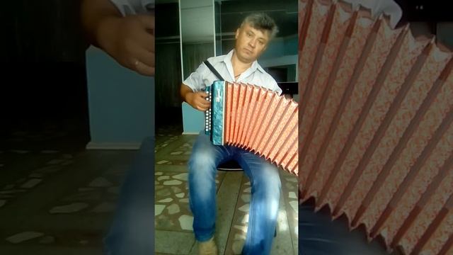 гармошка Ивушка(A)(F#m), я не гармонист. смотреть онлайн