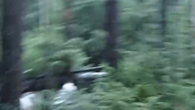 Охота на лося с лайками смотреть онлайн