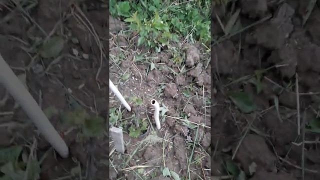 Отзыв о Agro-market