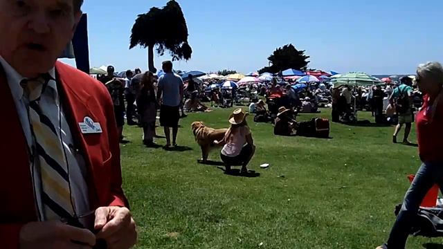 La Jolla Cove/Scripps Park free summer concert Benny Hollman смотреть онлайн