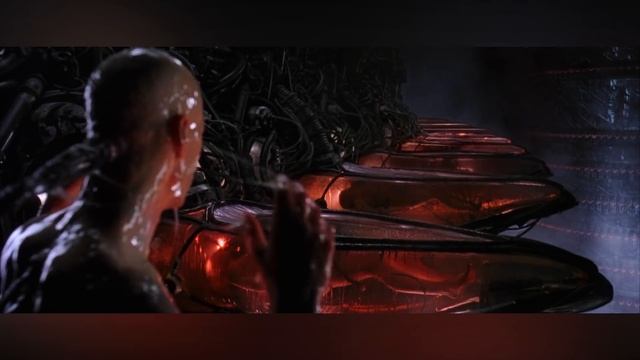 THE MATRIX RELOADED Minute-2-Minute Analysis #20 смотреть онлайн