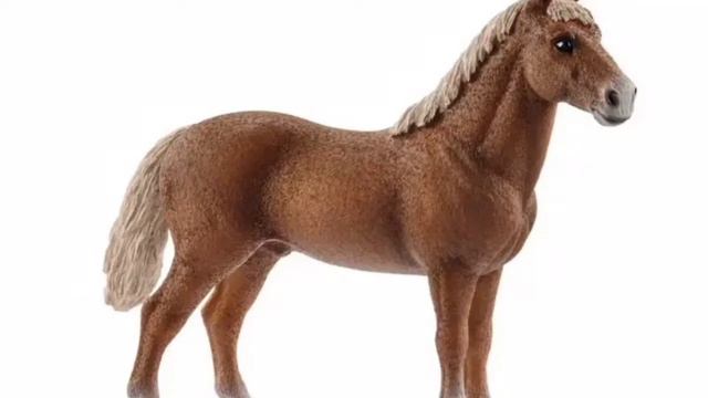 ТОП 5 ФИГУРОК SCHLEICH, КОТОРЫЕ Я ТОЧНО НЕ КУПЛЮ 🤮👎🏻 смотреть онлайн