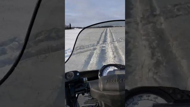 2010 arctic cat tz1 test drive смотреть онлайн