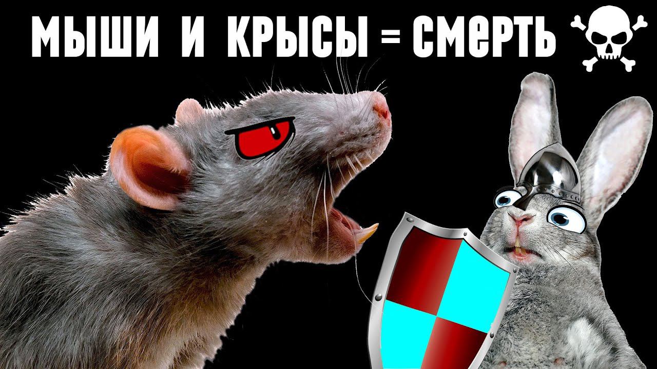 Как я уничтожаю мышей и крыс смотреть онлайн