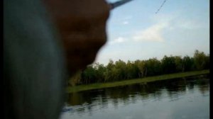 Ловля рыбы на воблер ZIPBAITS Khamsin SR 70 SP