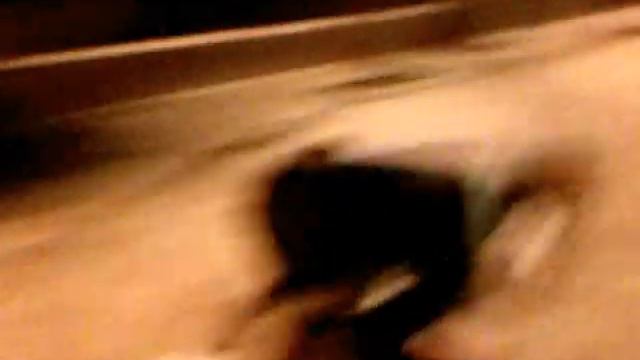 I barboni .02 la loro aggressività смотреть онлайн