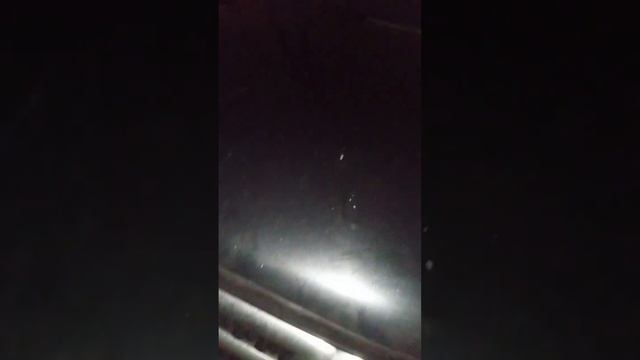 Установка газлифтов на капот RAV-4 2007г.