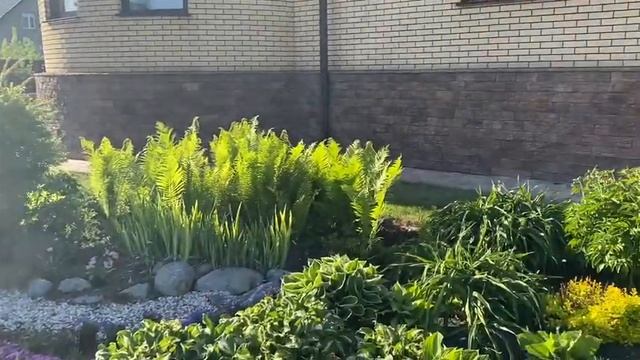 Цветник непрерывного цветения из многолетников? смотреть онлайн