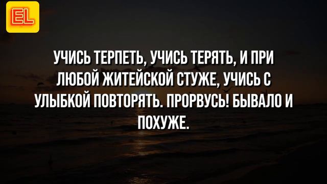 Мудрые цитаты смотреть онлайн