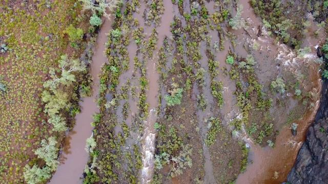 Chasing Adventure Ep 4 - Millstream National Park | George Gorge | Python Pool | Pilbara 4WD смотреть онлайн