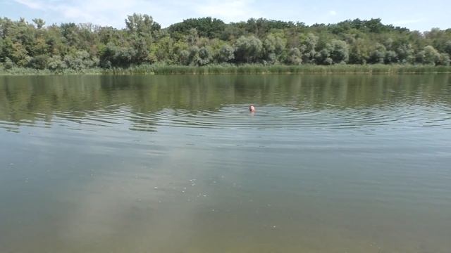 ? Сплав на 3 лодках-пакрафтах ⛺ 5 дней на реке ? День 4 ? Поймали рака смотреть онлайн