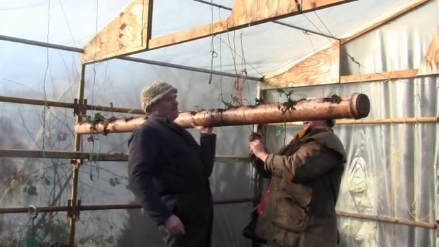 Sewer Pipe Strawberries - The Best Place To Grow Them! смотреть онлайн