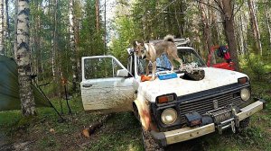 “ЖЕСТОКАЯ” ЭКСПЕДИЦИЯ! ЗИМНИК.. БОЛОТА..OFF ROAD! ГРУЗ С ТАЁЖНОГО УРОЧИЩА…