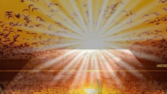 Улетели наши птицы смотреть онлайн