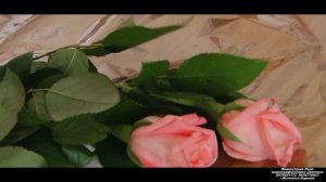 Последний звонок в  Волчанске / Лицей № 2/ Волчанск 2016/