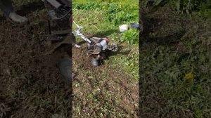 культиватор зубр КАД 2500 на целине