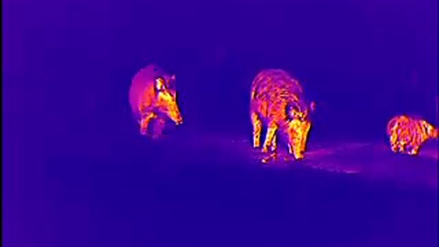 iRay xEye E3 Pro смотреть онлайн