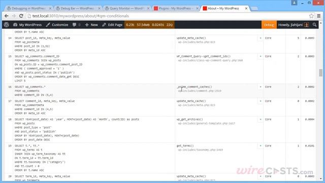 WordPress vs. ProcessWire - Debugging смотреть онлайн
