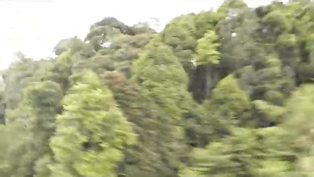 Leah's Zipzone Flight смотреть онлайн