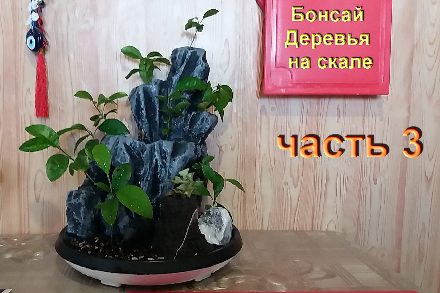 3.Бонсай деревья на скале часть 3