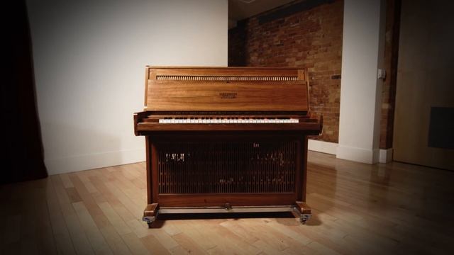 Introducing: The Celeste смотреть онлайн