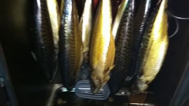 Скумбрия горячего копчения, рецепт и способ приготовления смотреть онлайн
