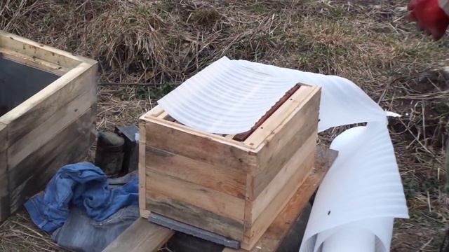 Плохая зимовка . Пересадка Пчел в новые улья . Весна 2023. смотреть онлайн