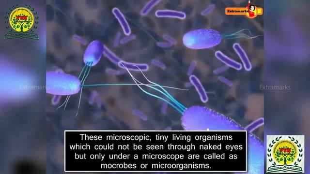 Microorganisms Introduction #GDCHACKS смотреть онлайн