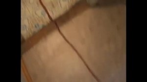 Обзор на игру Метрон (1 и 2 часть) [Maddyson]