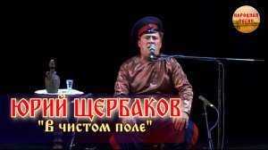 Юрий Щербаков-В чистом поле